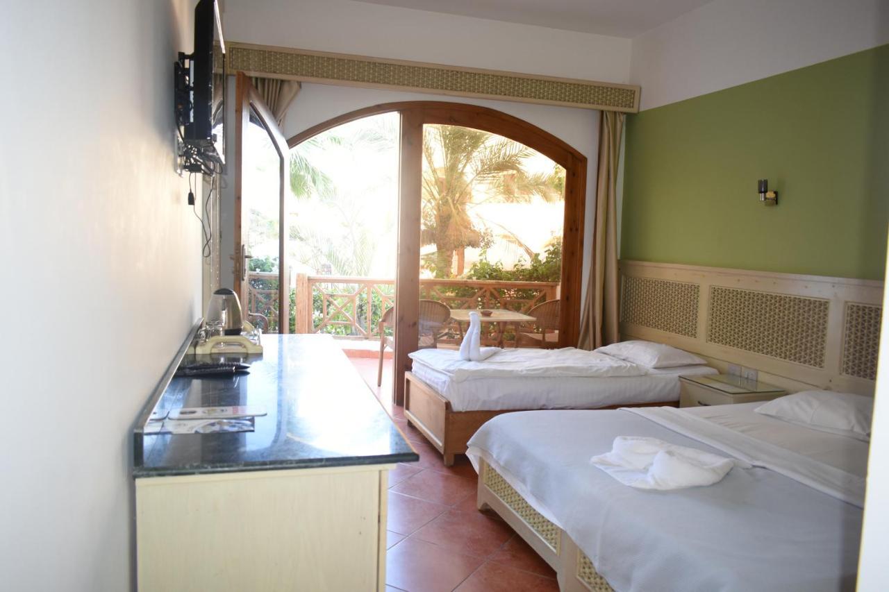 Planet Oasis Resort דהב מראה חיצוני תמונה