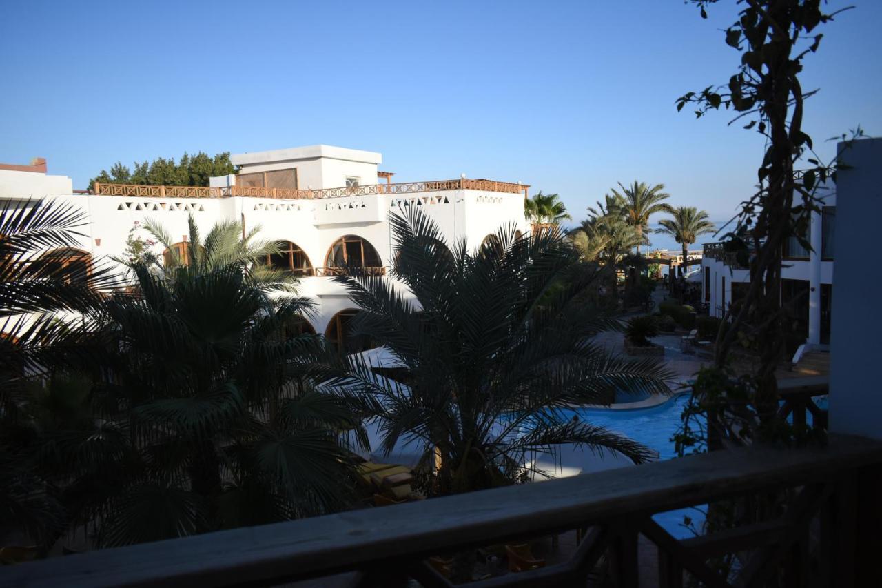 Planet Oasis Resort דהב מראה חיצוני תמונה