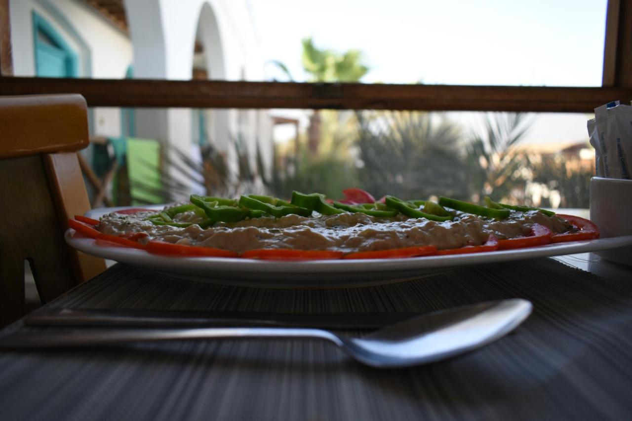 Planet Oasis Resort דהב מראה חיצוני תמונה