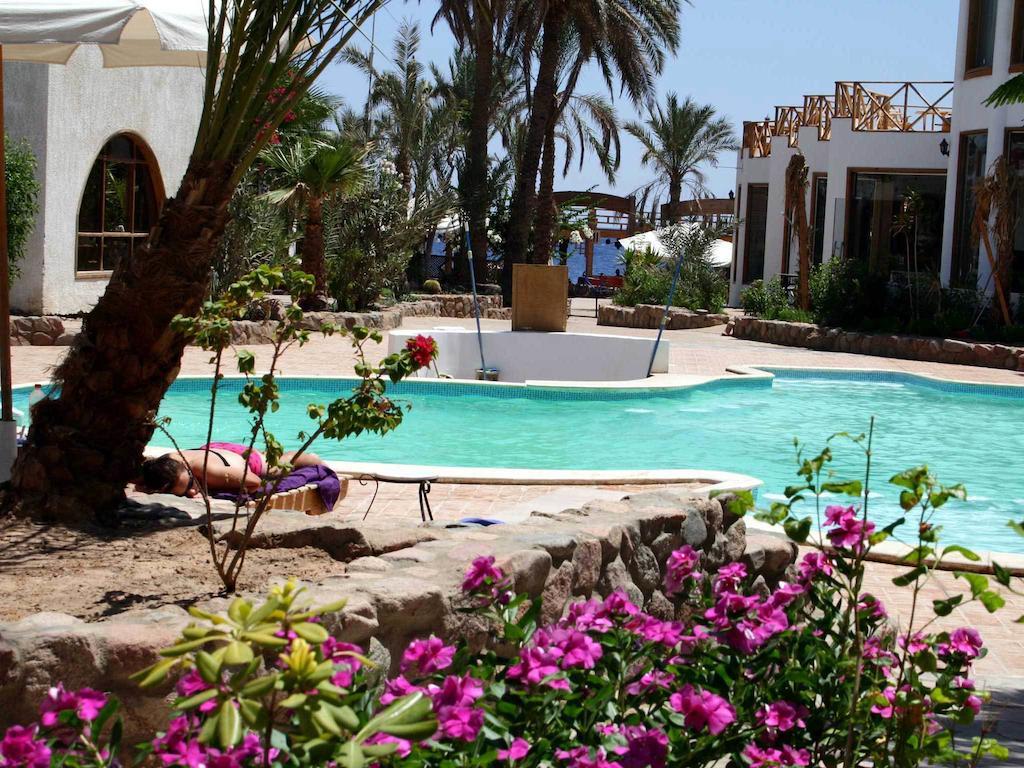 Planet Oasis Resort דהב מראה חיצוני תמונה