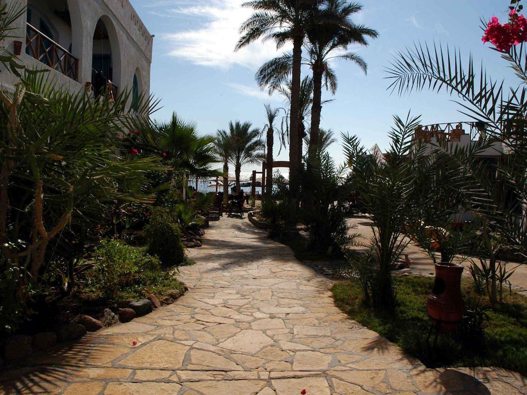 Planet Oasis Resort דהב מראה חיצוני תמונה