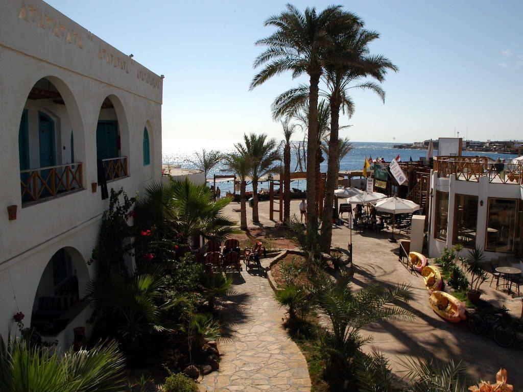 Planet Oasis Resort דהב מראה חיצוני תמונה