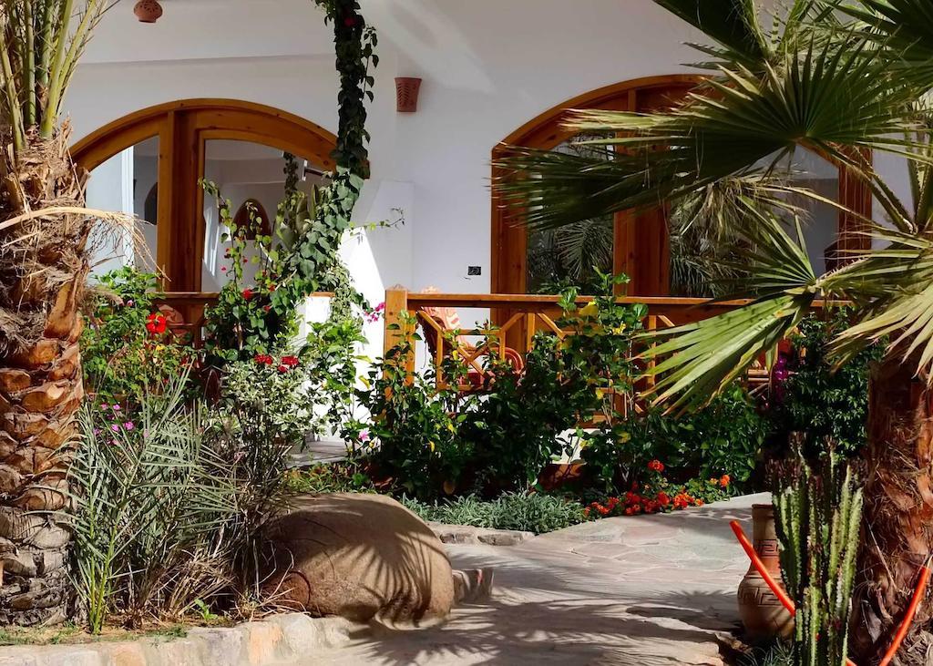 Planet Oasis Resort דהב חדר תמונה