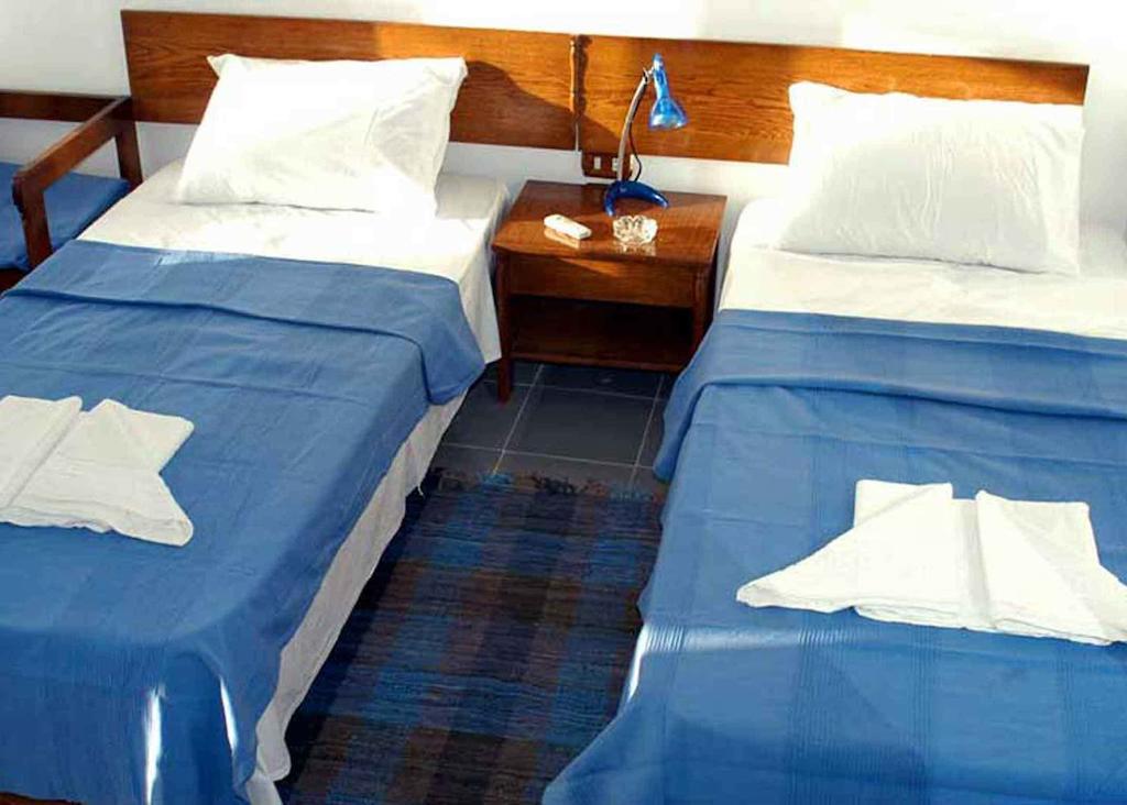 Planet Oasis Resort דהב חדר תמונה