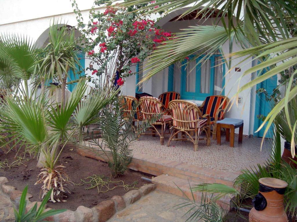 Planet Oasis Resort דהב חדר תמונה
