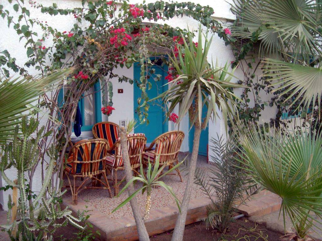Planet Oasis Resort דהב חדר תמונה